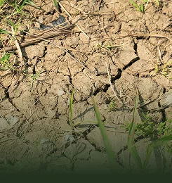 Erosion Control