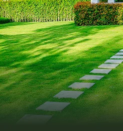 Lawn Care