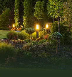 Landscape Lighting