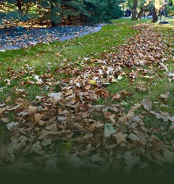Seasonal Cleanup Services