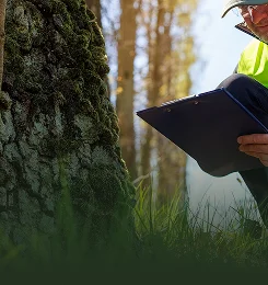 Certified Arborist