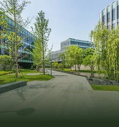 Commercial Tree Service