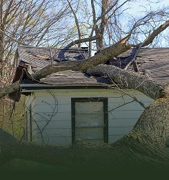 Emergency Tree Services