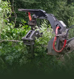 Lot Clearing