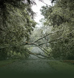 Storm Damage Cleanup